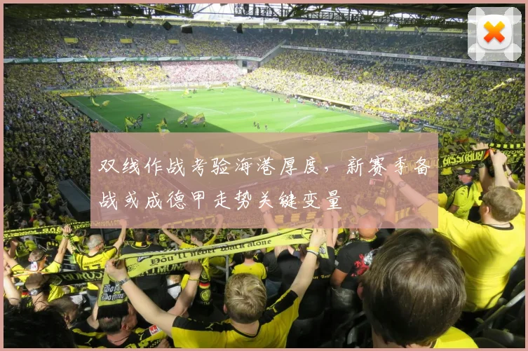 双线作战考验海港厚度，新赛季备战或成德甲走势关键变量