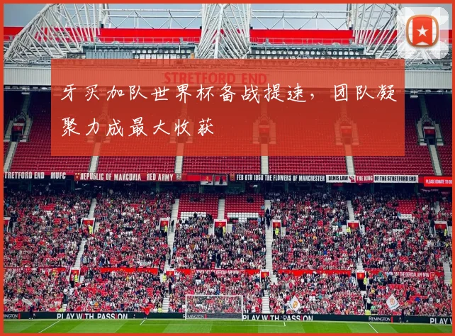牙买加队世界杯备战提速，团队凝聚力成最大收获