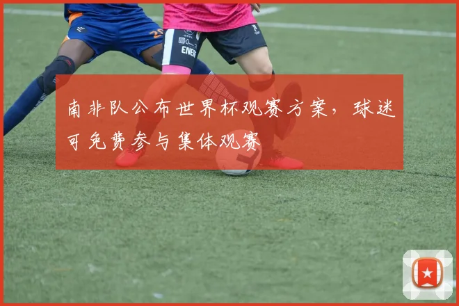 南非队公布世界杯观赛方案，球迷可免费参与集体观赛