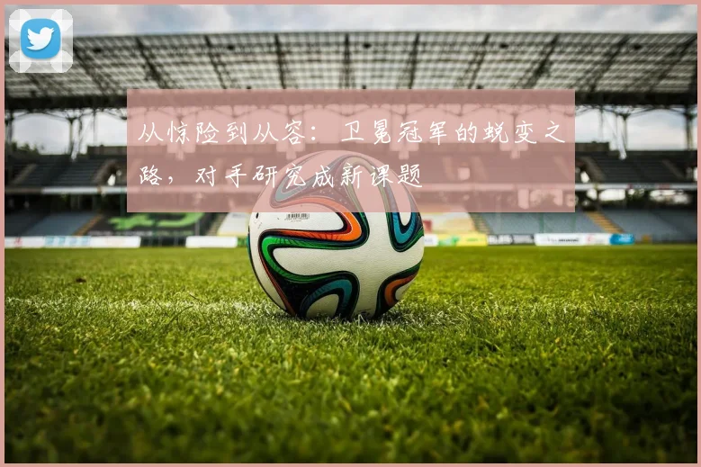 从惊险到从容：卫冕冠军的蜕变之路，对手研究成新课题